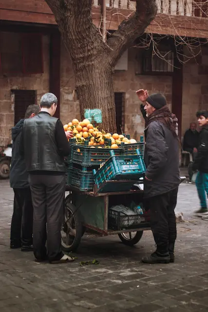 pexels-levent-simsek-3801687-scaled